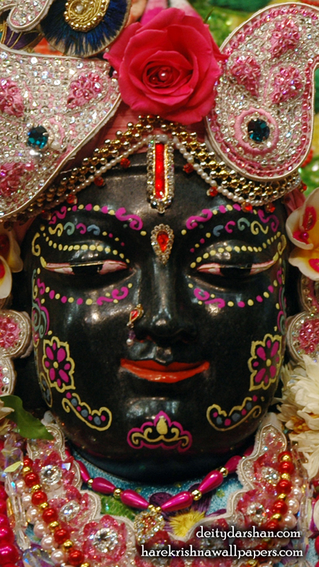 Sri Gopal Close up Wallpaper (058) Size 450x800 Download