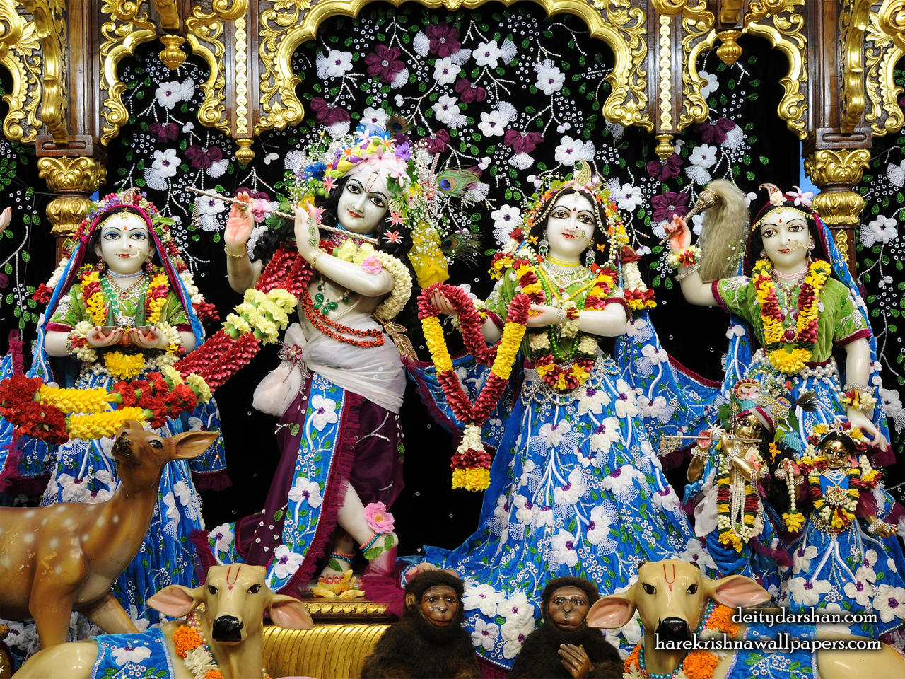 Sri Sri Radha Gopinath Lalita Vishakha Wallpaper (058) Size 1280x960 Download