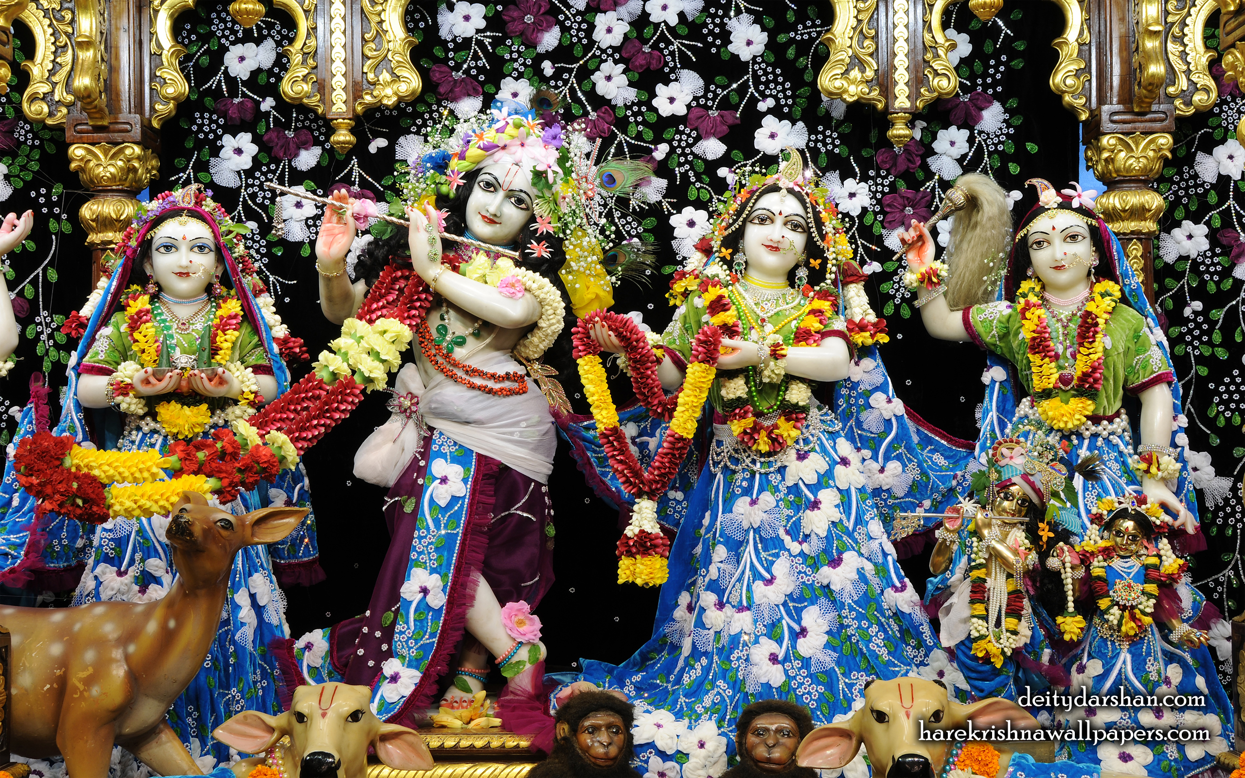 Sri Sri Radha Gopinath Lalita Vishakha Wallpaper (058) Size 2560x1600 Download