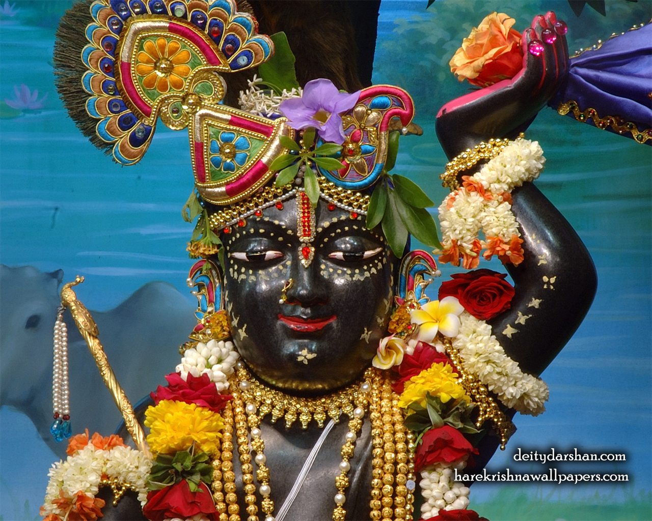 Sri Gopal Close up Wallpaper (059) Size 1280x1024 Download
