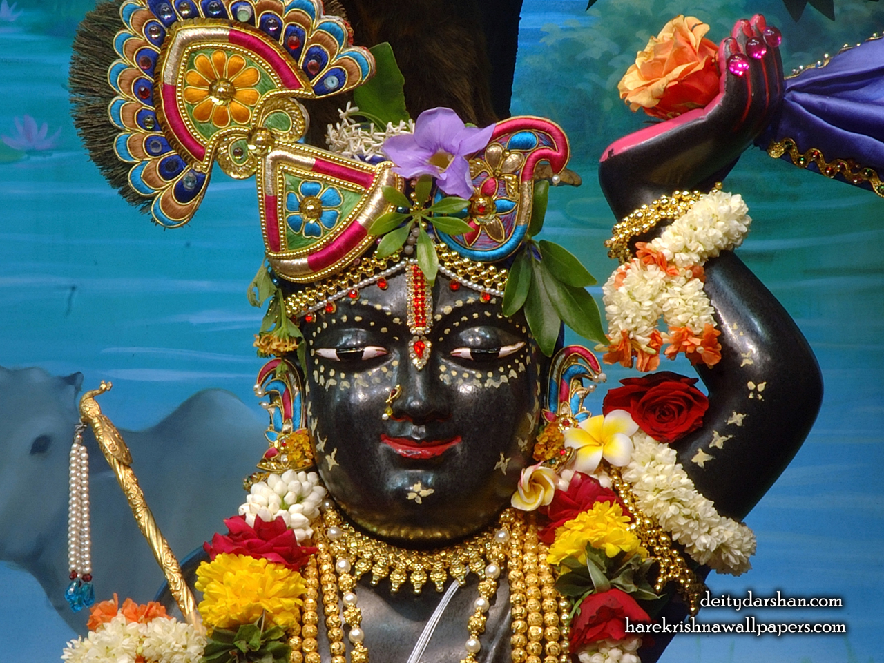 Sri Gopal Close up Wallpaper (059) Size 1280x960 Download