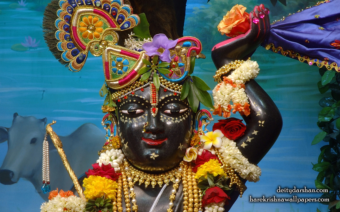 Sri Gopal Close up Wallpaper (059) Size 1440x900 Download