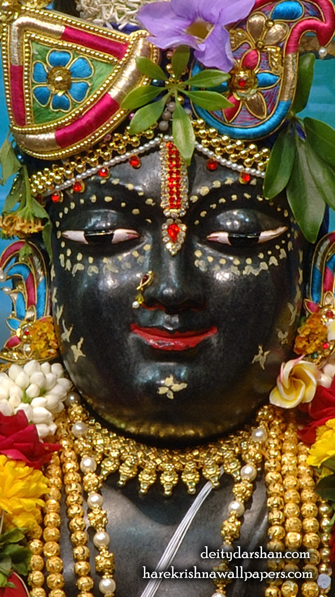 Sri Gopal Close up Wallpaper (059) Size 675x1200 Download