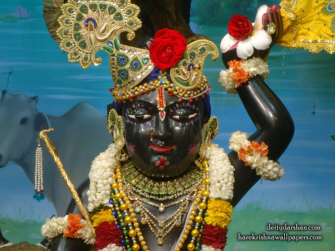 Sri Gopal Close up Wallpaper (060) Size 1152x864 Download