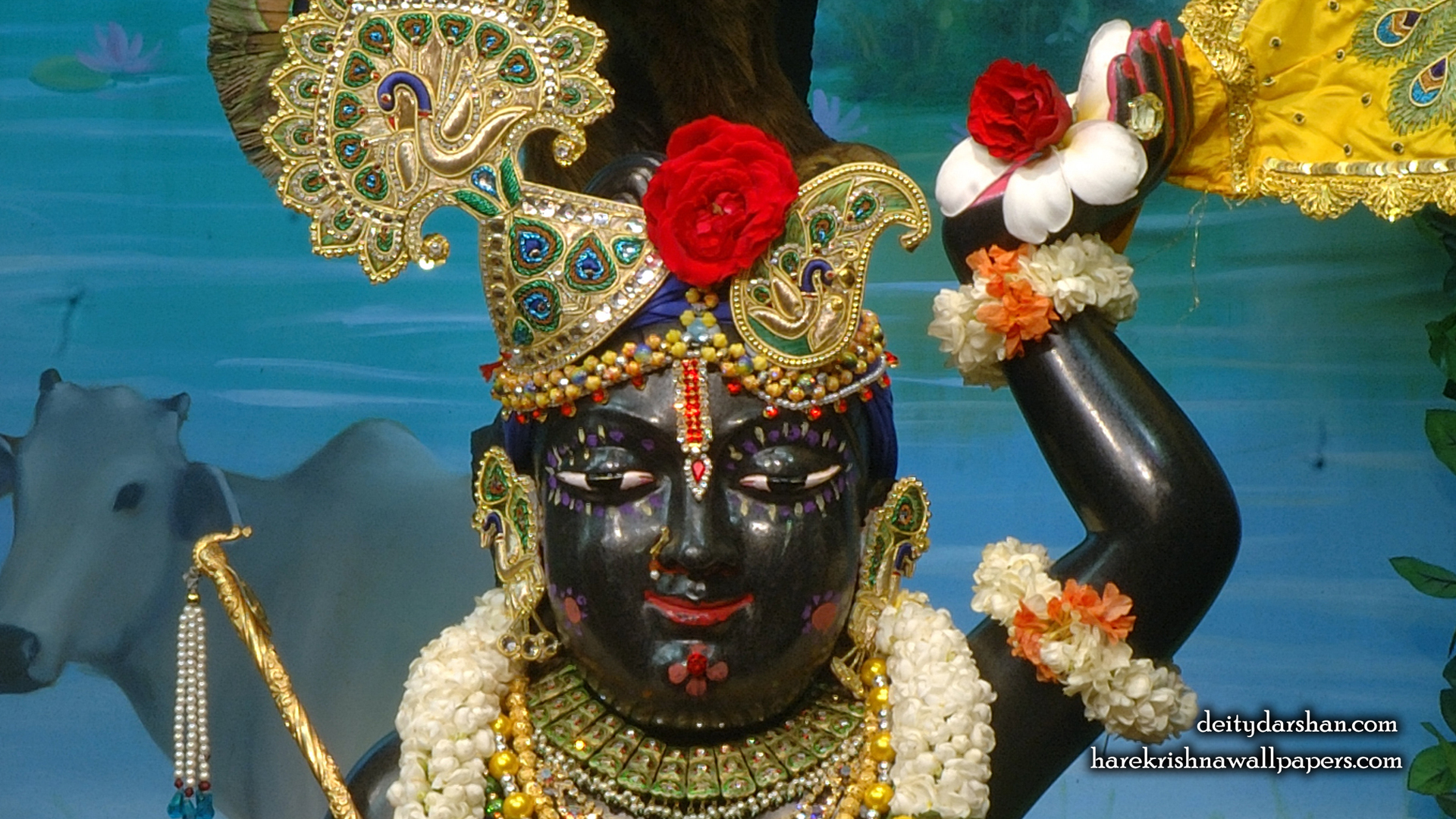 Sri Gopal Close up Wallpaper (060) Size 1920x1080 Download