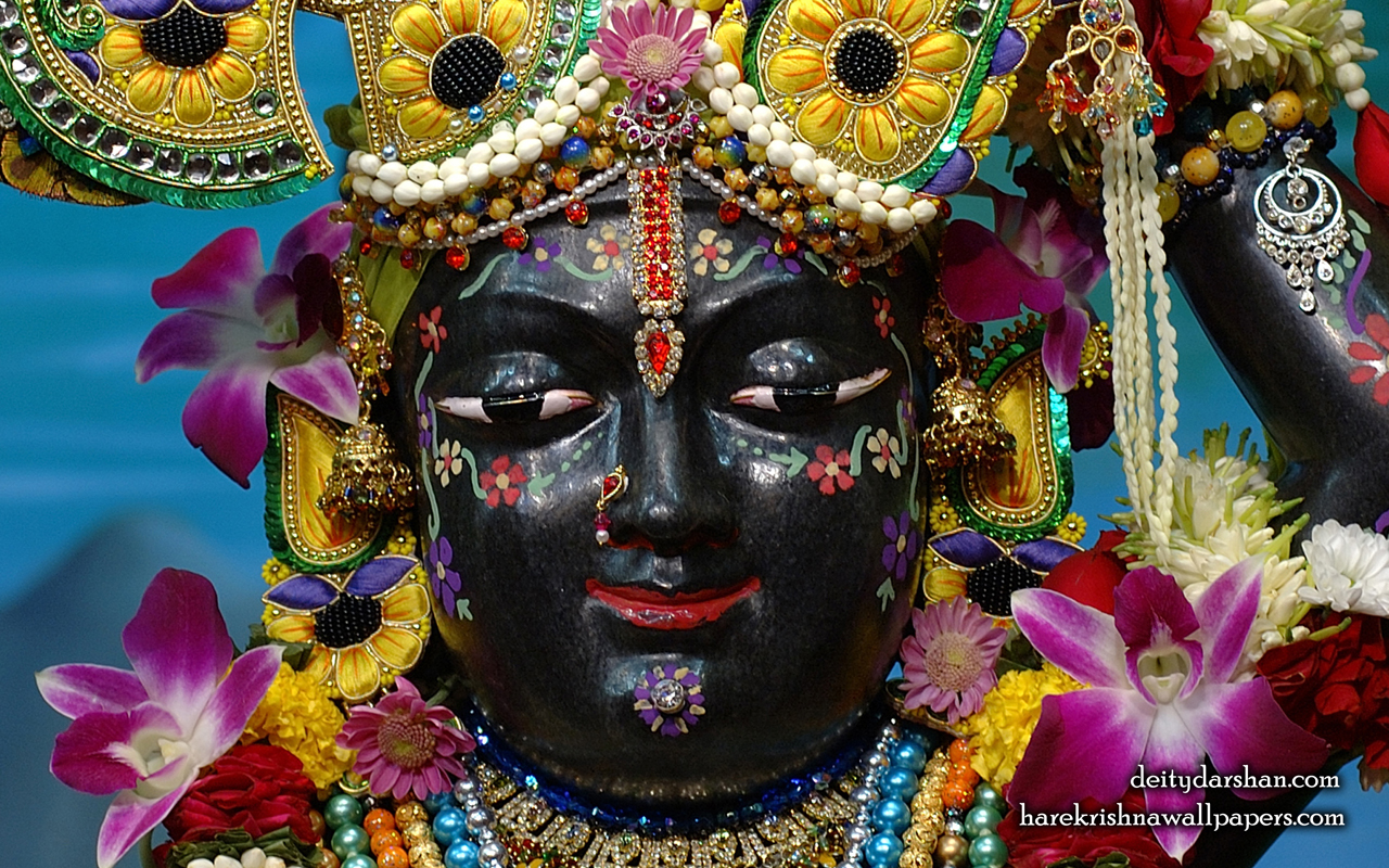 Sri Gopal Close up Wallpaper (061) Size 1280x800 Download