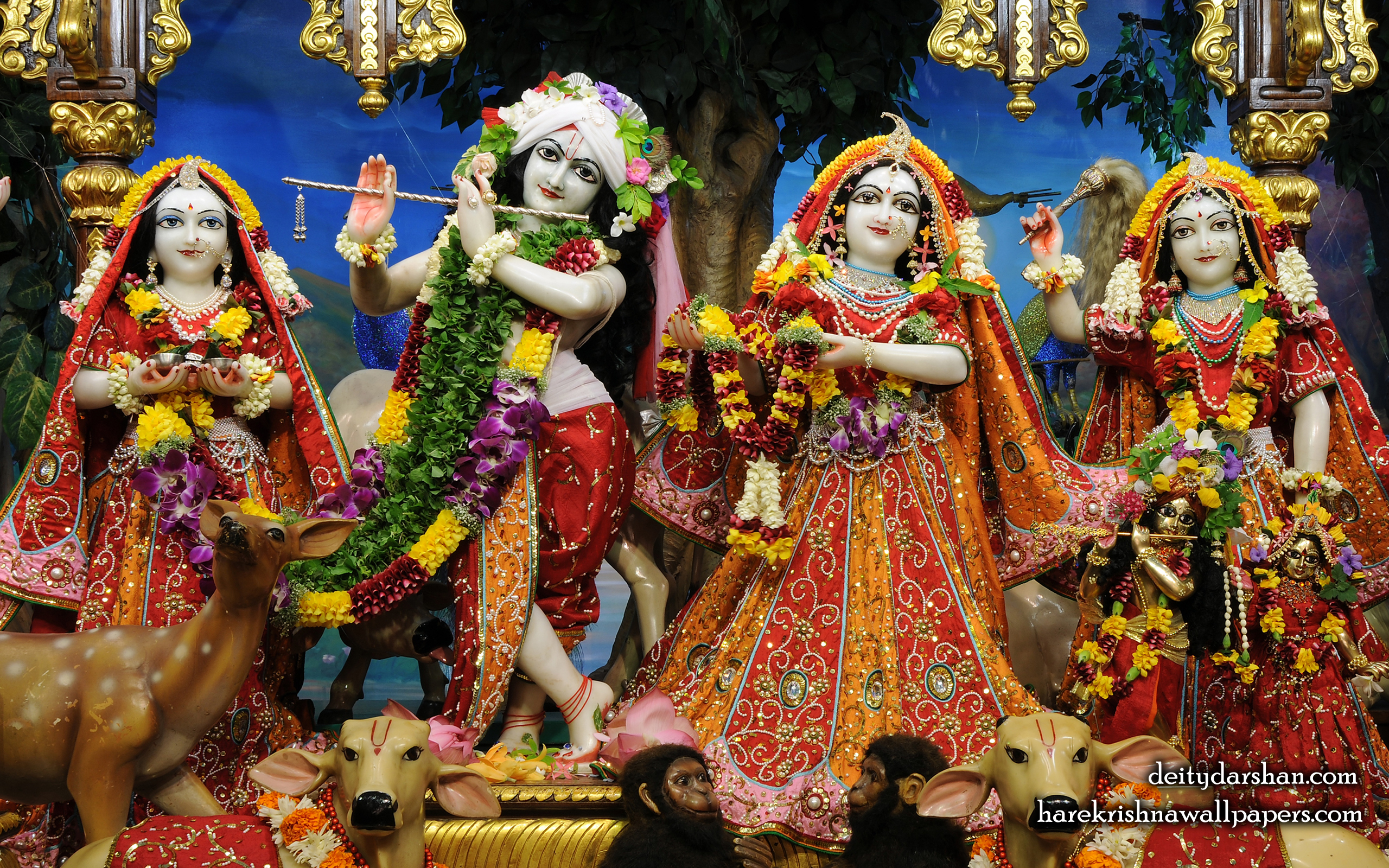 Sri Sri Radha Gopinath Lalita Vishakha Wallpaper (061) Size 2560x1600 Download