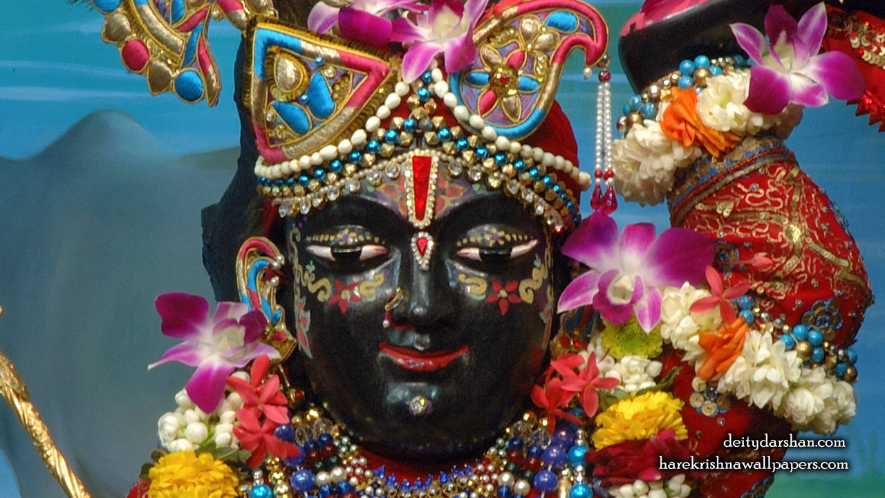 Sri Gopal Close up Wallpaper (062) Size1280x720 Download