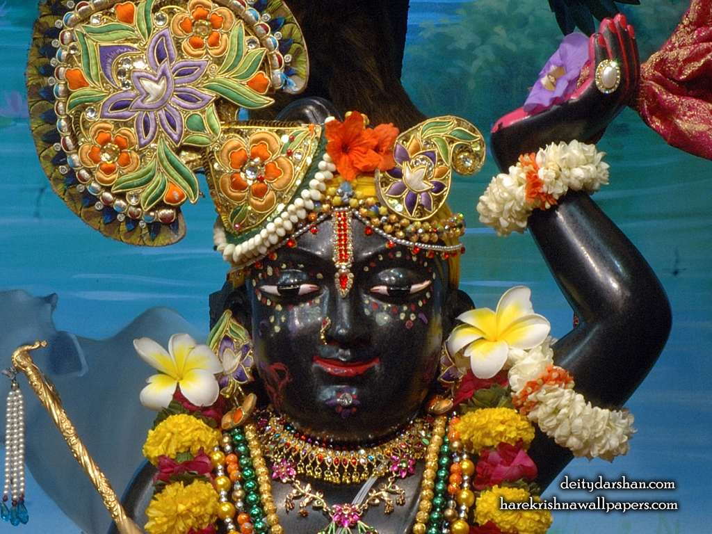 Sri Gopal Close up Wallpaper (063) Size 1024x768 Download