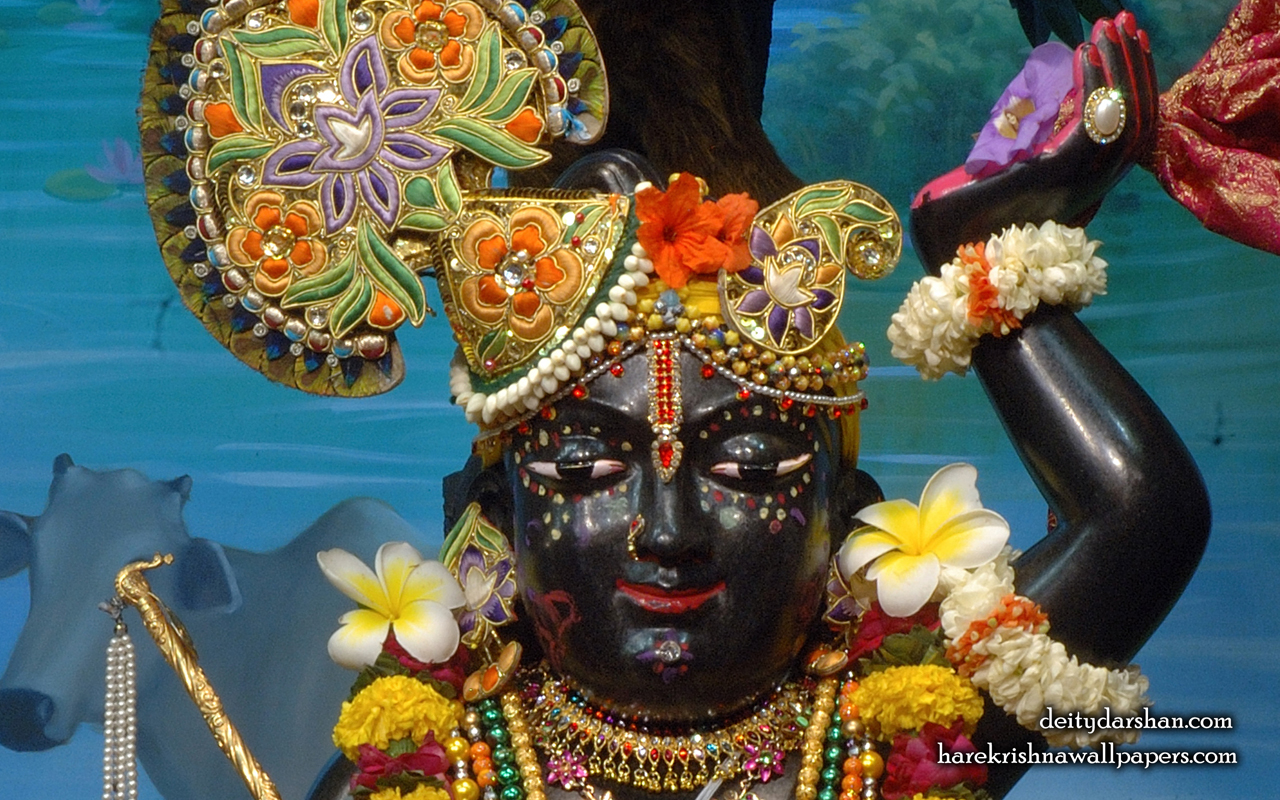 Sri Gopal Close up Wallpaper (063) Size 1280x800 Download
