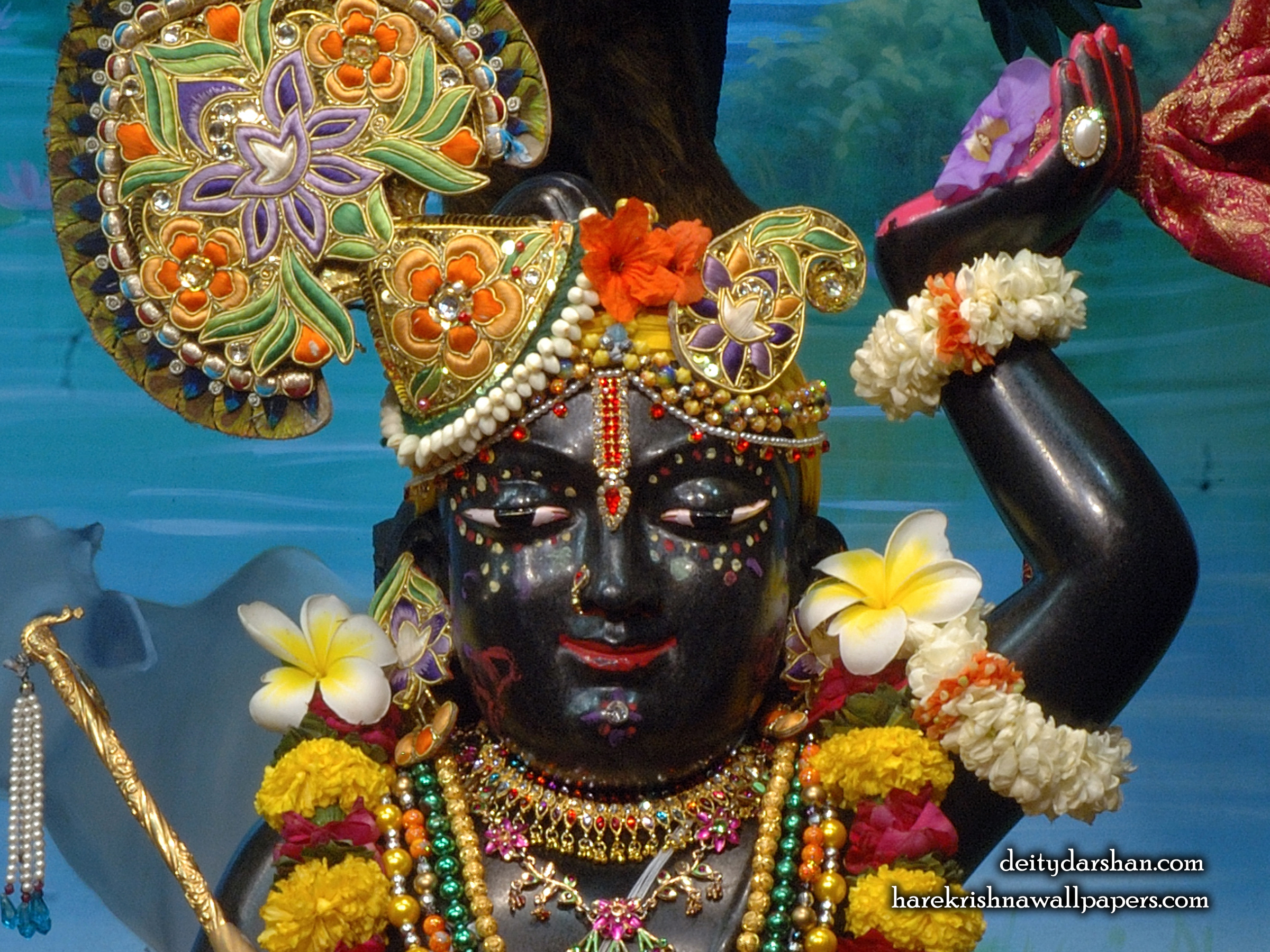 Sri Gopal Close up Wallpaper (063) Size 2400x1800 Download