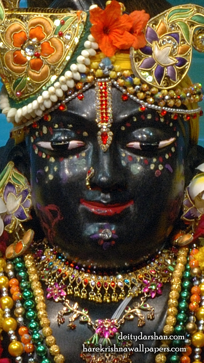 Sri Gopal Close up Wallpaper (063) Size 675x1200 Download