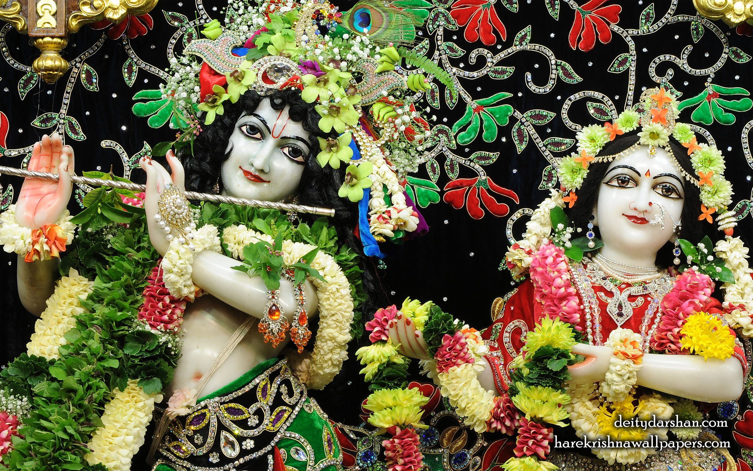 Sri Sri Radha Gopinath Close up Wallpaper (063) Size 2560x1600 Download