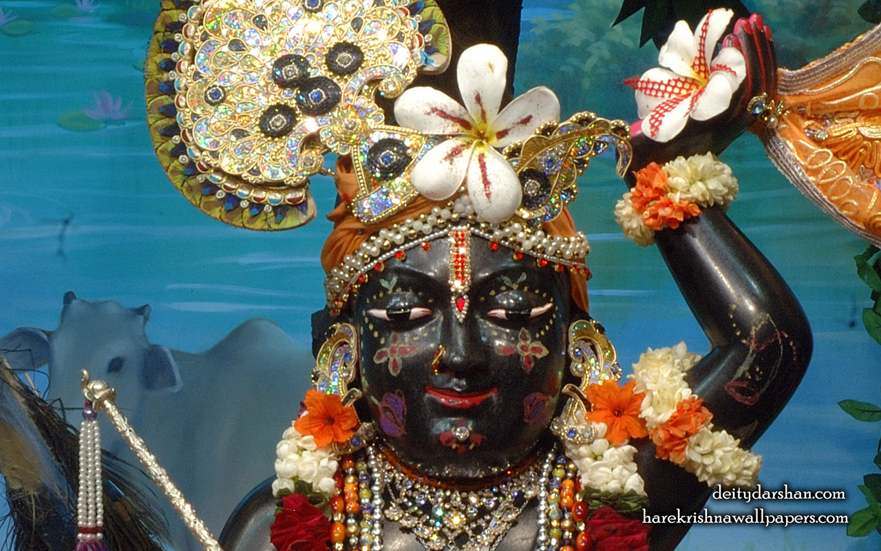 Sri Gopal Close up Wallpaper (064) Size 1280x800 Download