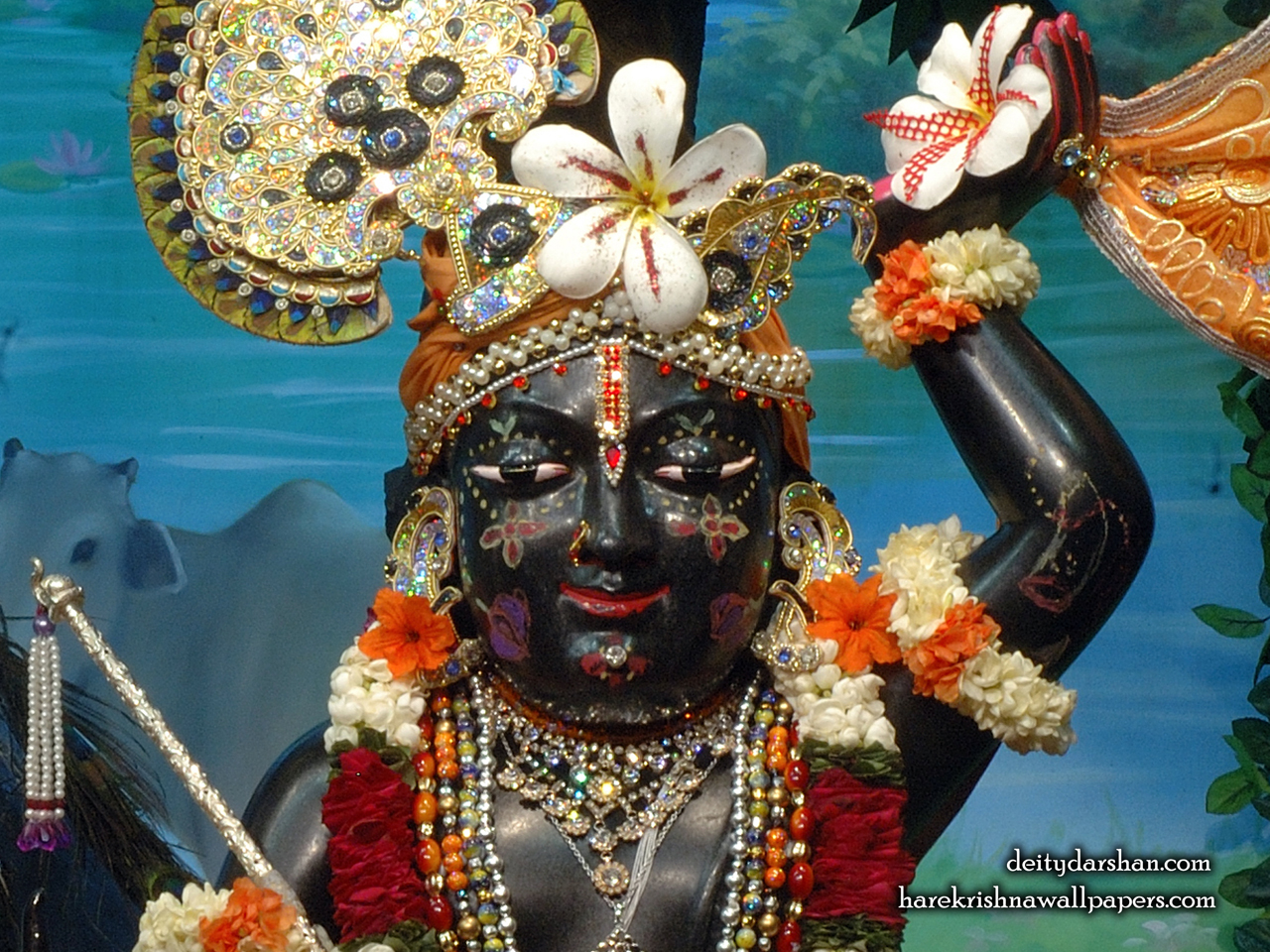 Sri Gopal Close up Wallpaper (064) Size 1280x960 Download