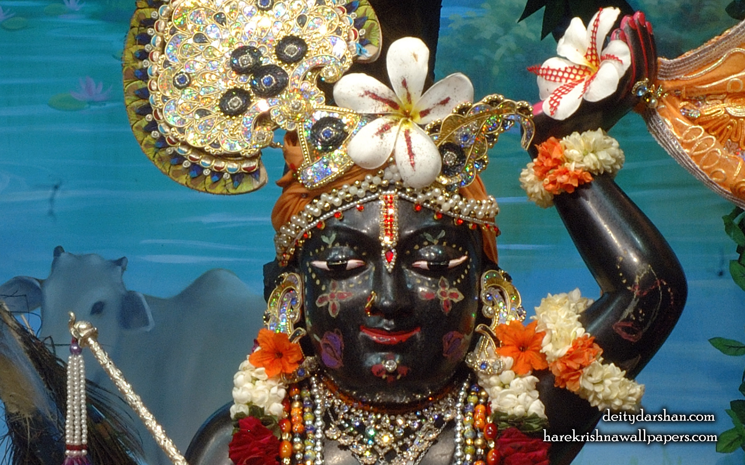 Sri Gopal Close up Wallpaper (064) Size 2560x1600 Download