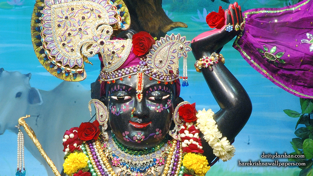 Sri Gopal Close up Wallpaper (065) Size1280x720 Download