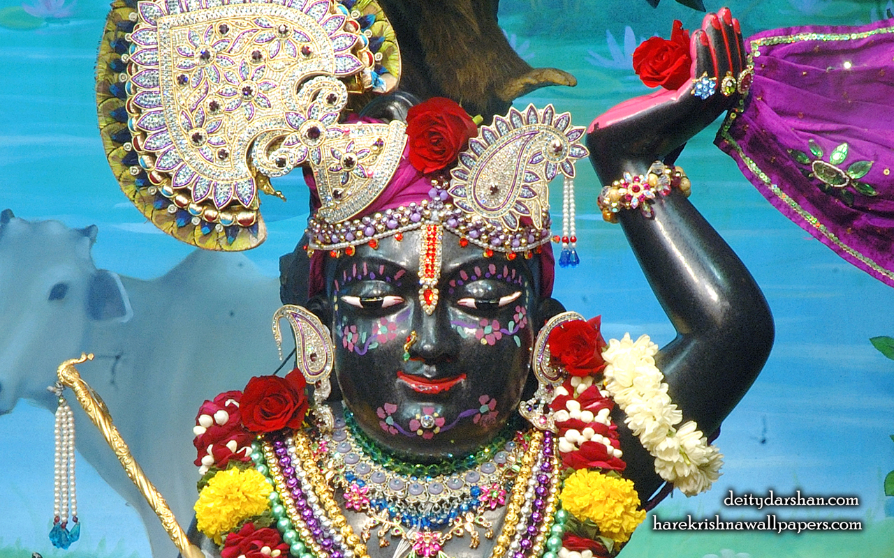 Sri Gopal Close up Wallpaper (065) Size 1280x800 Download