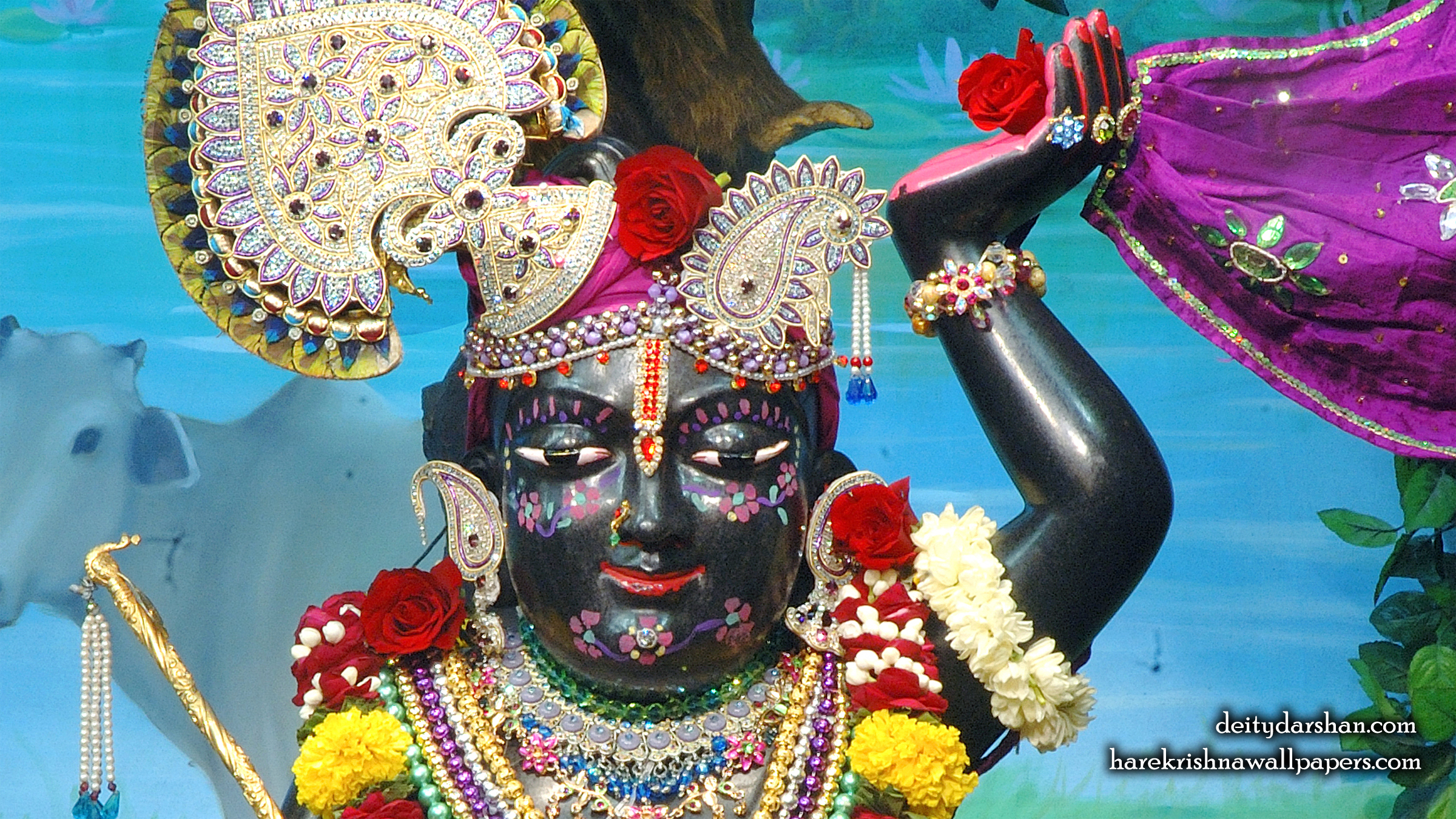 Sri Gopal Close up Wallpaper (065) Size 2400x1350 Download
