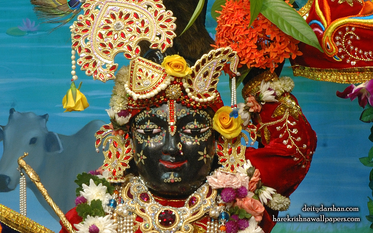 Sri Gopal Close up Wallpaper (066) Size 1280x800 Download