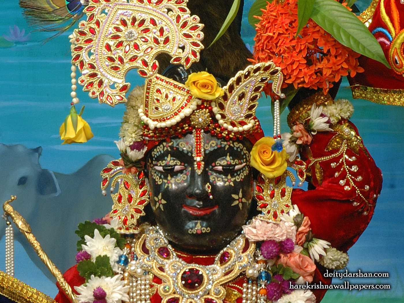 Sri Gopal Close up Wallpaper (066) Size 1400x1050 Download
