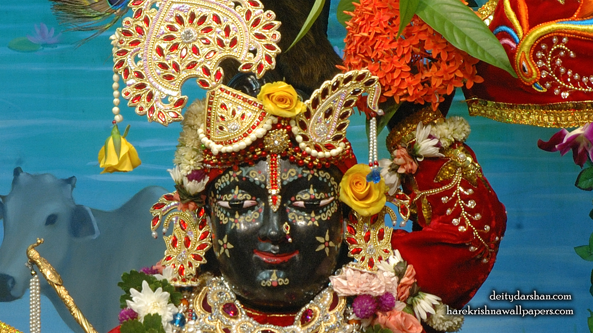 Sri Gopal Close up Wallpaper (066) Size 1920x1080 Download
