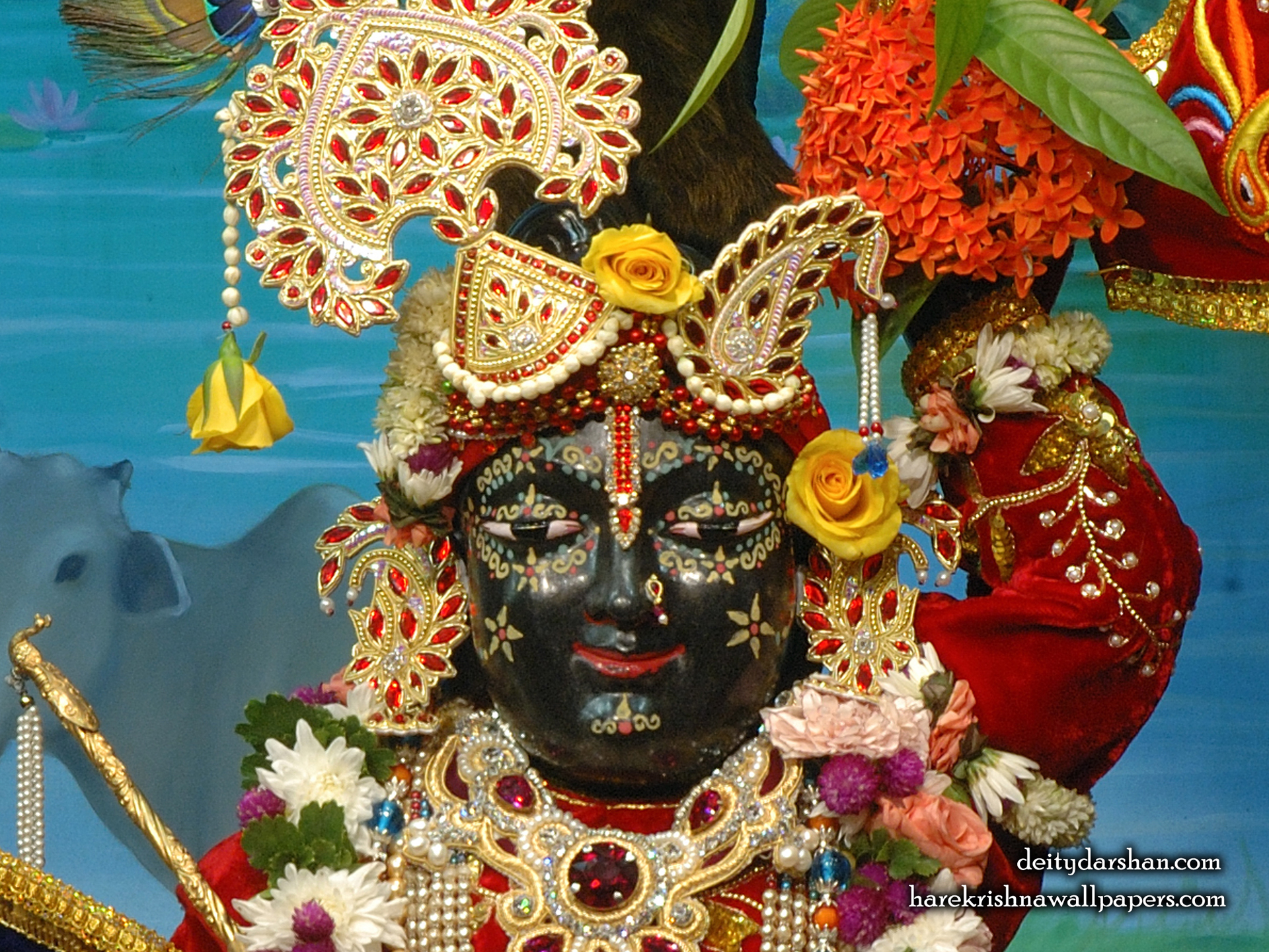 Sri Gopal Close up Wallpaper (066) Size 1920x1440 Download