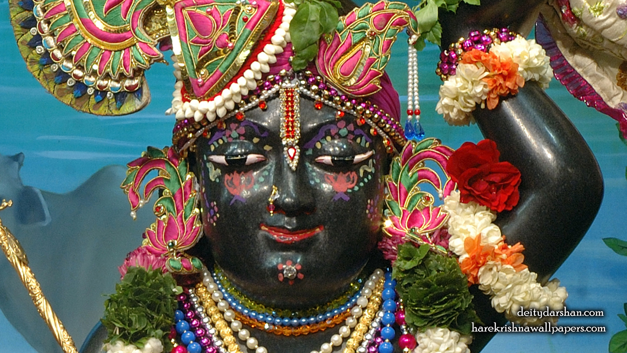 Sri Gopal Close up Wallpaper (067) Size1280x720 Download