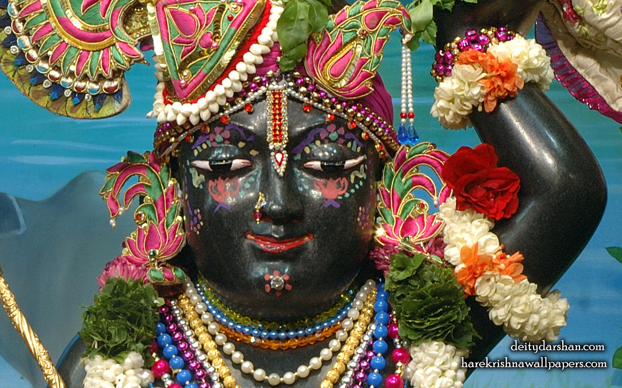 Sri Gopal Close up Wallpaper (067) Size 1280x800 Download