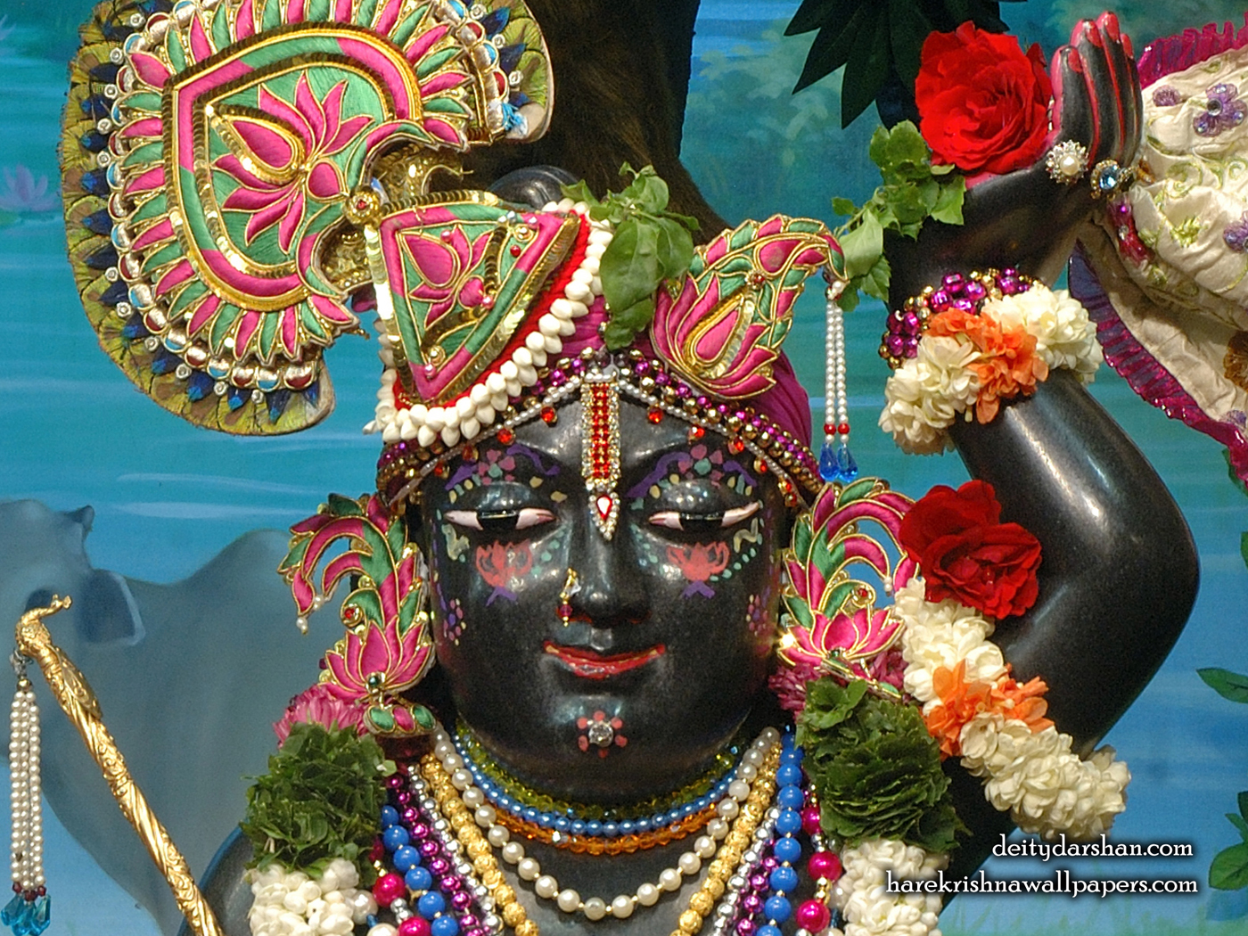 Sri Gopal Close up Wallpaper (067) Size 1400x1050 Download