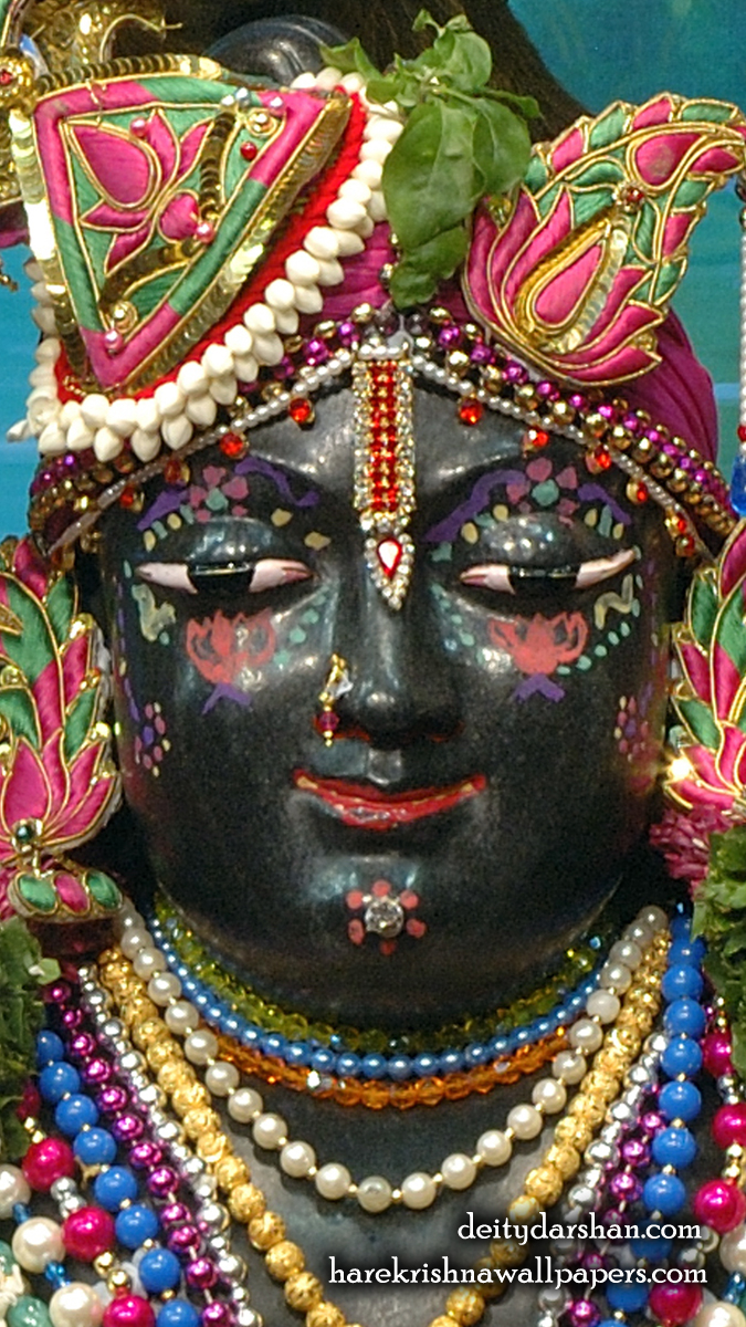 Sri Gopal Close up Wallpaper (067) Size 675x1200 Download