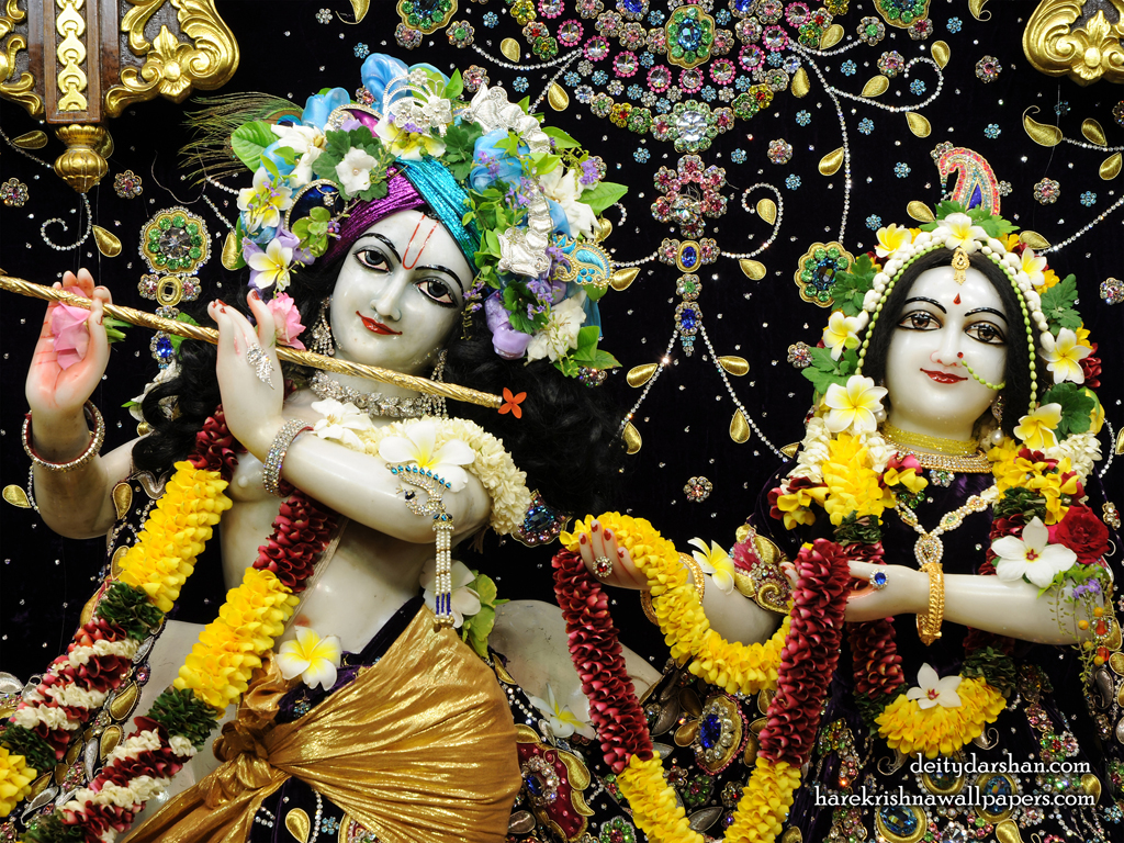 Sri Sri Radha Gopinath Close up Wallpaper (067) Size 1024x768 Download