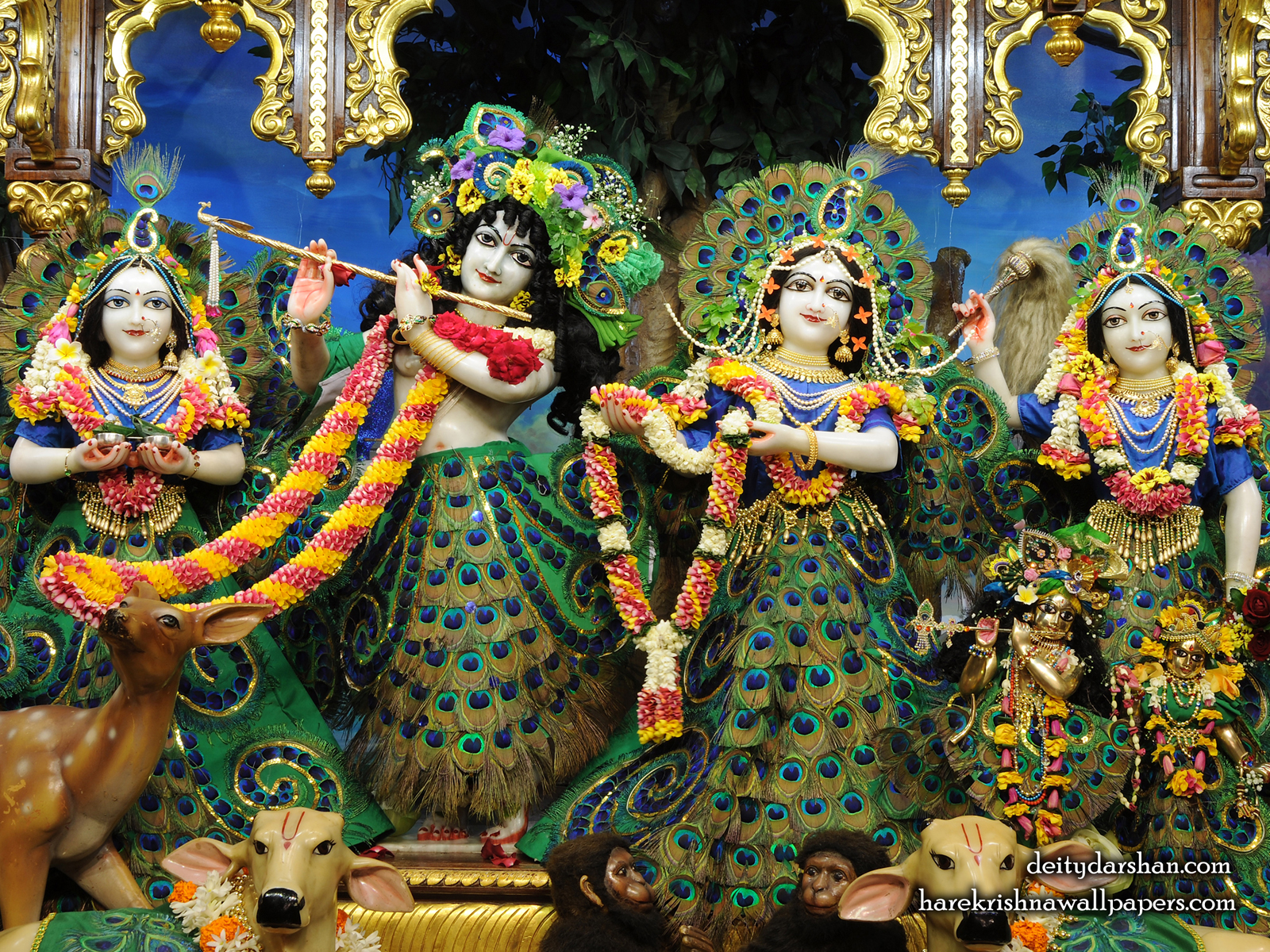 Sri Sri Radha Gopinath Lalita Vishakha Wallpaper (067) Size1600x1200 Download