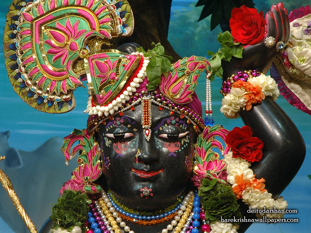 Sri Gopal Close up Wallpaper (068) Size 1024x768 Download