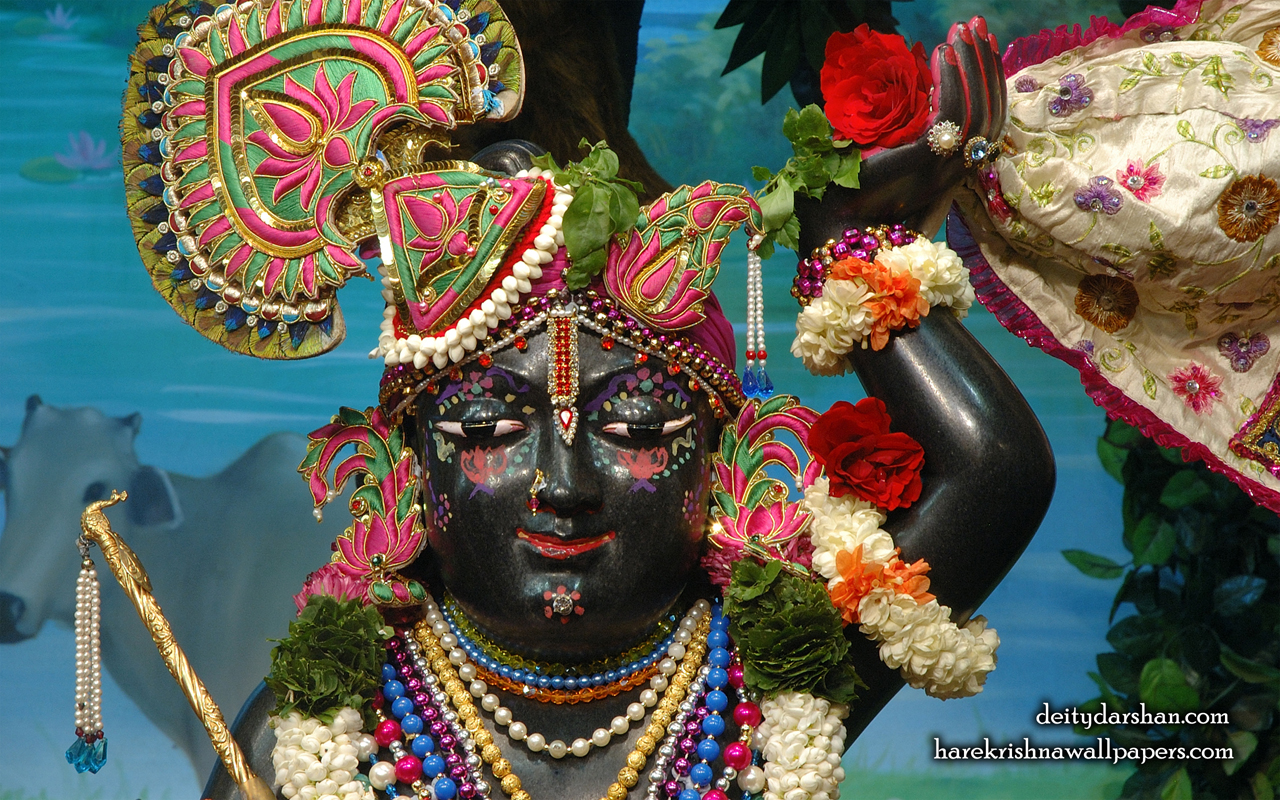 Sri Gopal Close up Wallpaper (068) Size 1280x800 Download