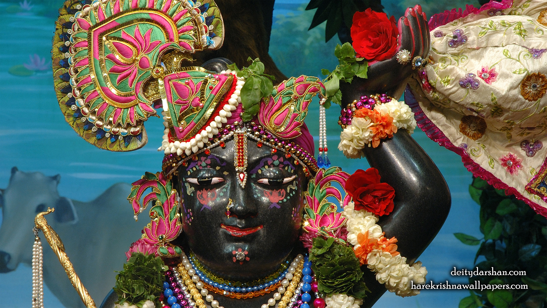 Sri Gopal Close up Wallpaper (068) Size 1920x1080 Download