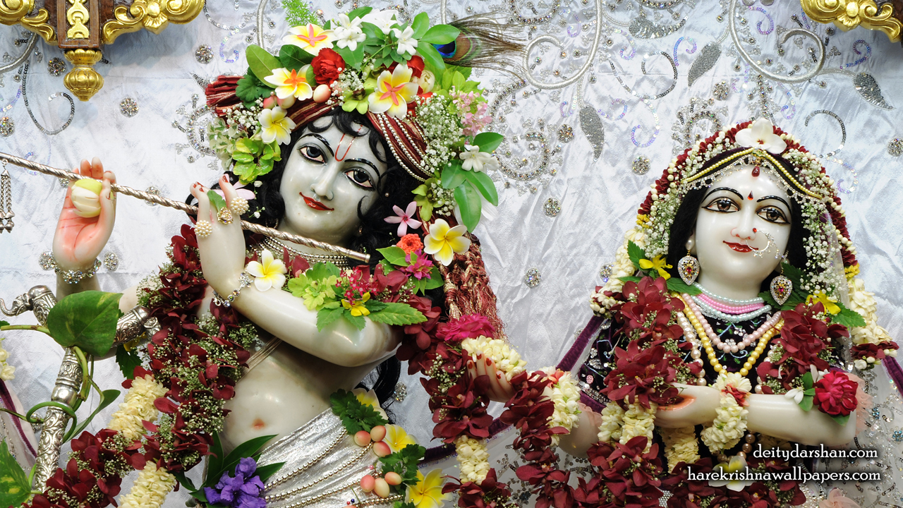 Sri Sri Radha Gopinath Close up Wallpaper (069) Size1280x720 Download