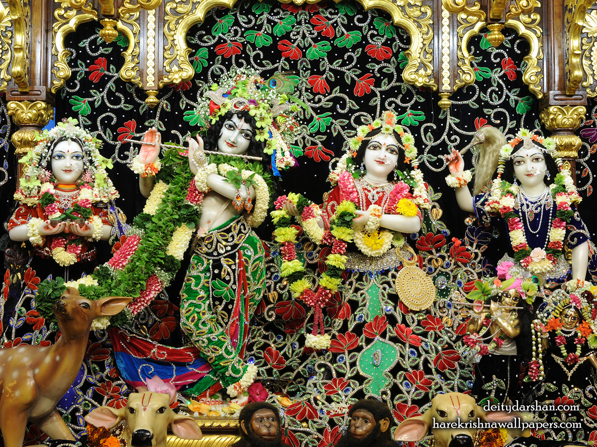 Sri Sri Radha Gopinath Lalita Vishakha Wallpaper (075) Size1200x900 Download