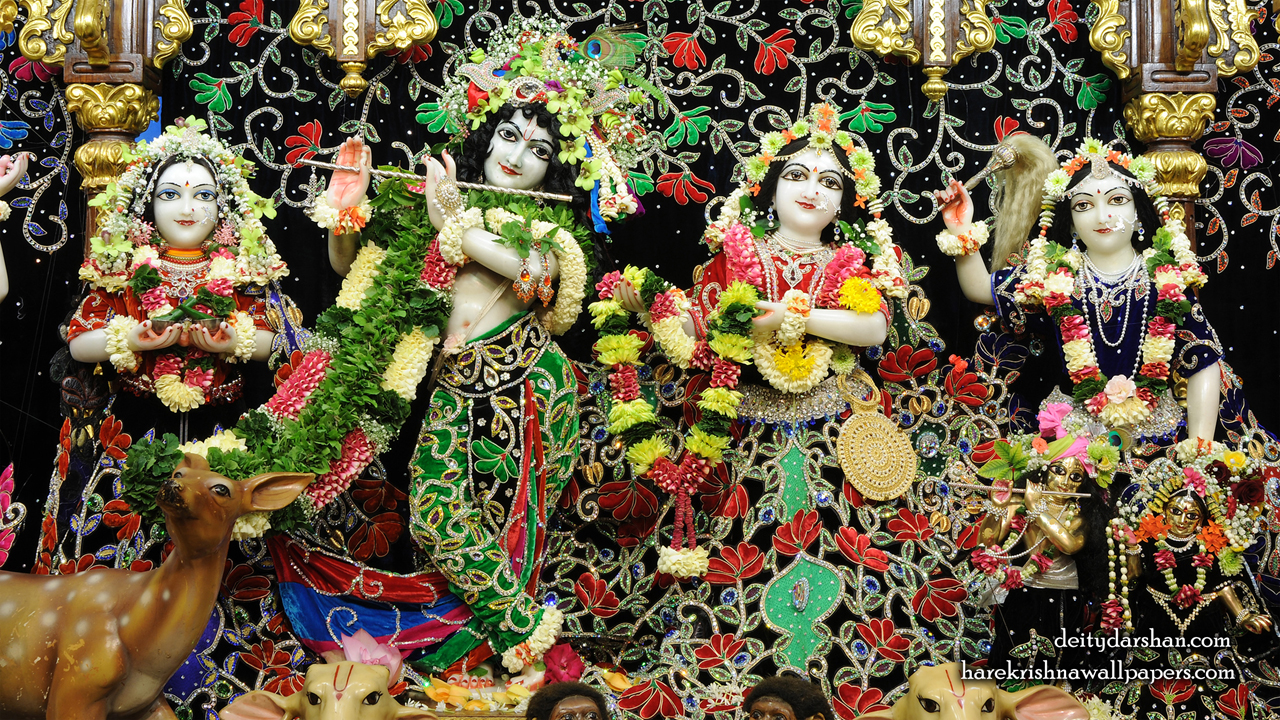 Sri Sri Radha Gopinath Lalita Vishakha Wallpaper (075) Size1280x720 Download