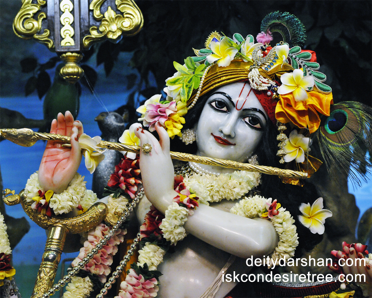 Sri Gopinath Close up Wallpaper (083) Size 1280x1024 Download