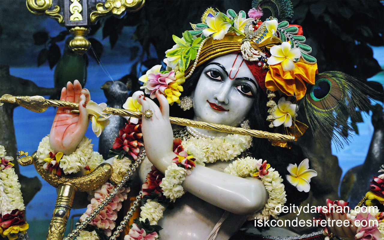 Sri Gopinath Close up Wallpaper (083) Size 1280x800 Download