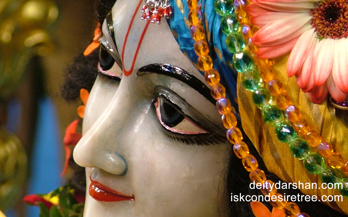 Sri Gopinath Close up Wallpaper (090) Size 1440x900 Download