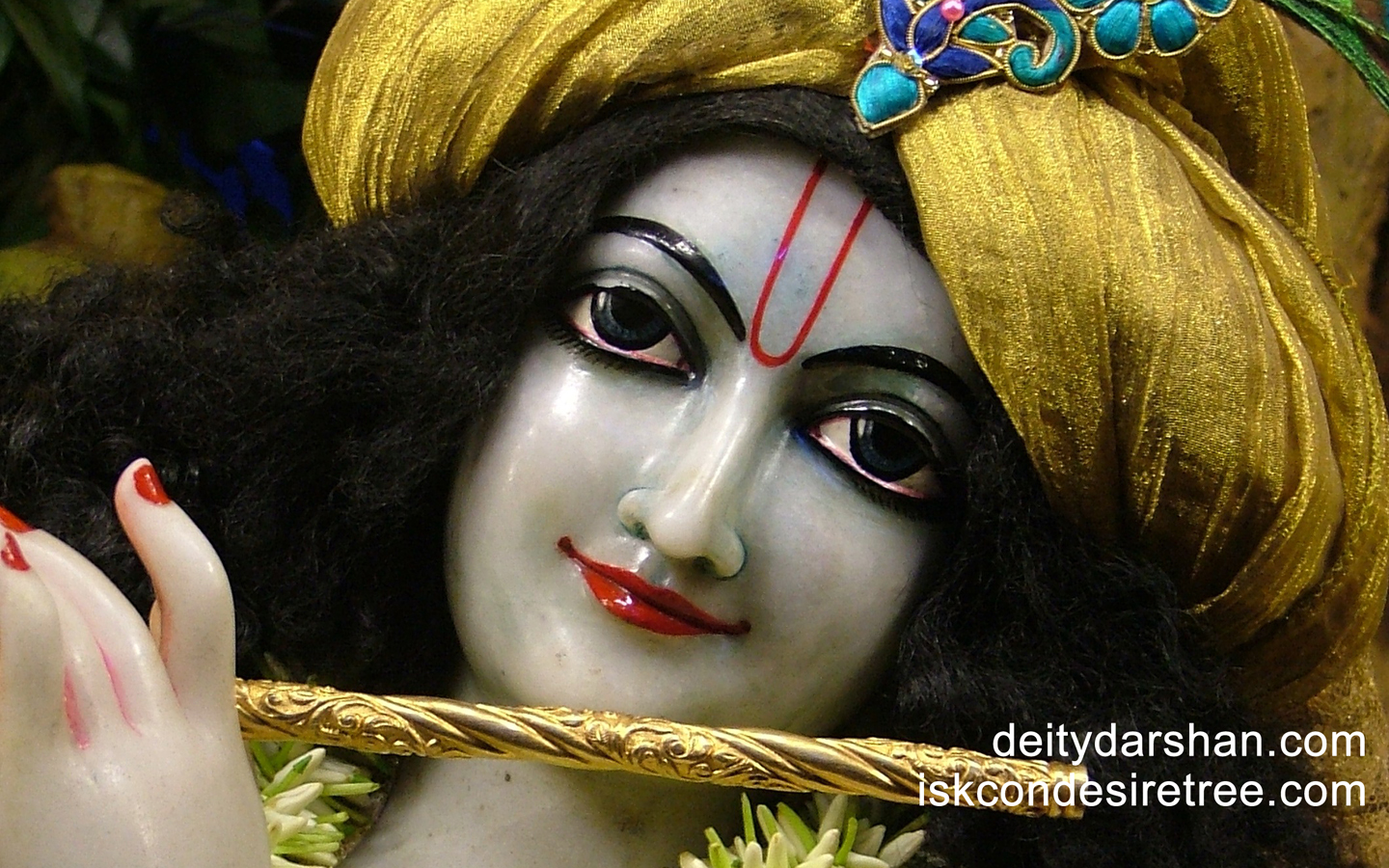 Sri Gopinath Close up Wallpaper (092) Size 1440x900 Download