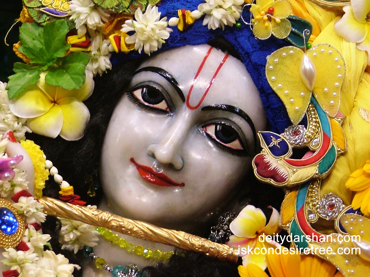Sri Gopinath Close up Wallpaper (094) Size 1280x960 Download