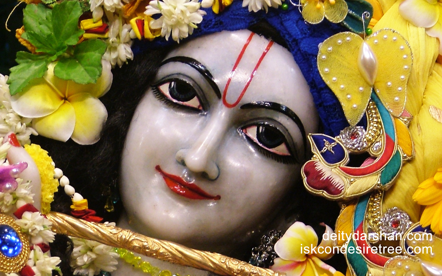 Sri Gopinath Close up Wallpaper (094) Size 1440x900 Download