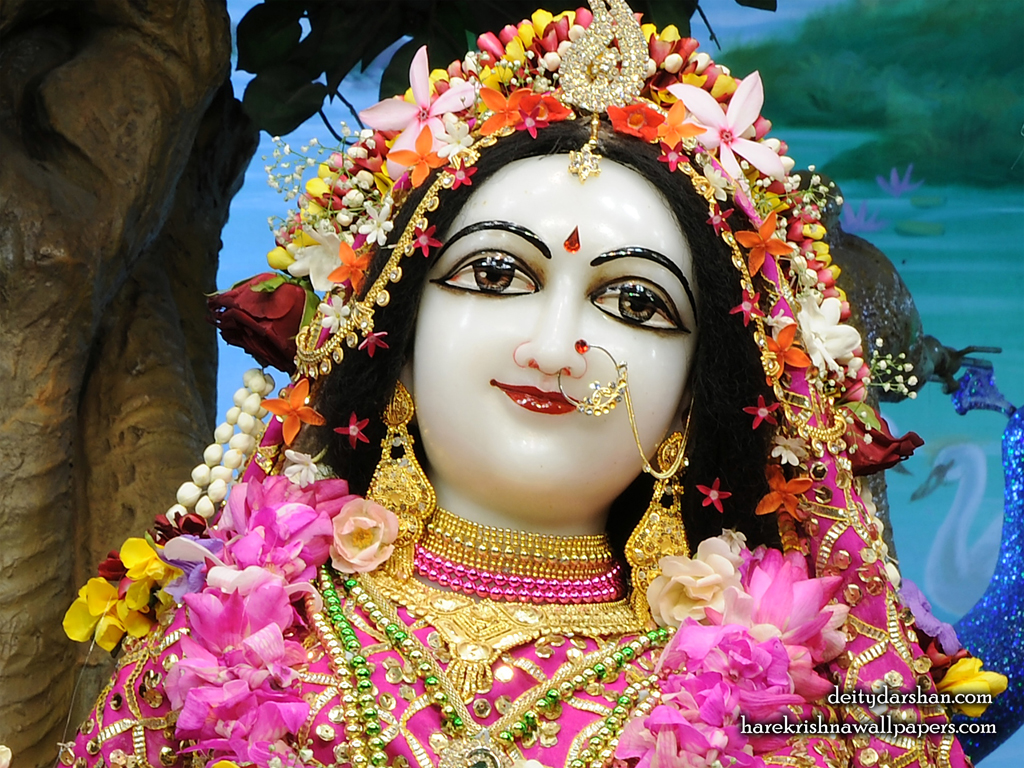 Srimati Radharani Close up Wallpaper (094) Size 1024x768 Download