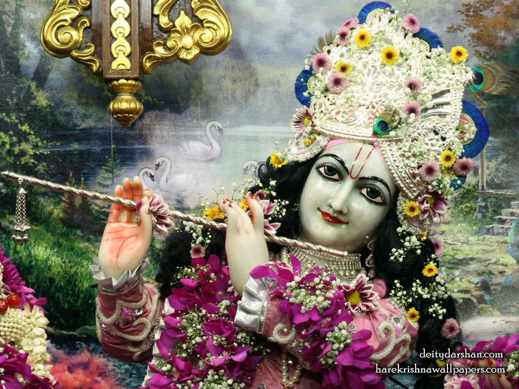 Sri Gopinath Close up Wallpaper (148) Size 1024x768 Download