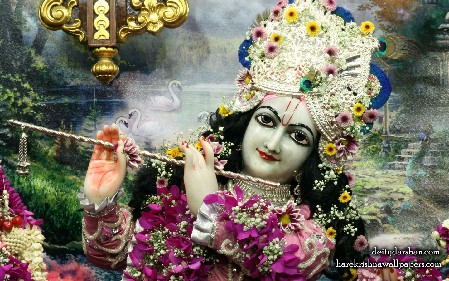 Sri Gopinath Close up Wallpaper (148) Size 1440x900 Download