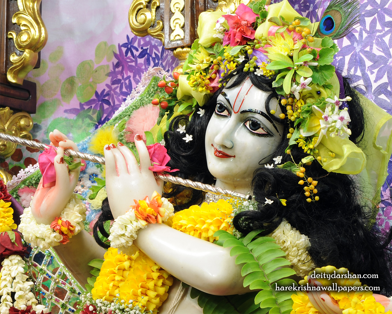 Sri Gopinath Close up Wallpaper (155) Size 1280x1024 Download