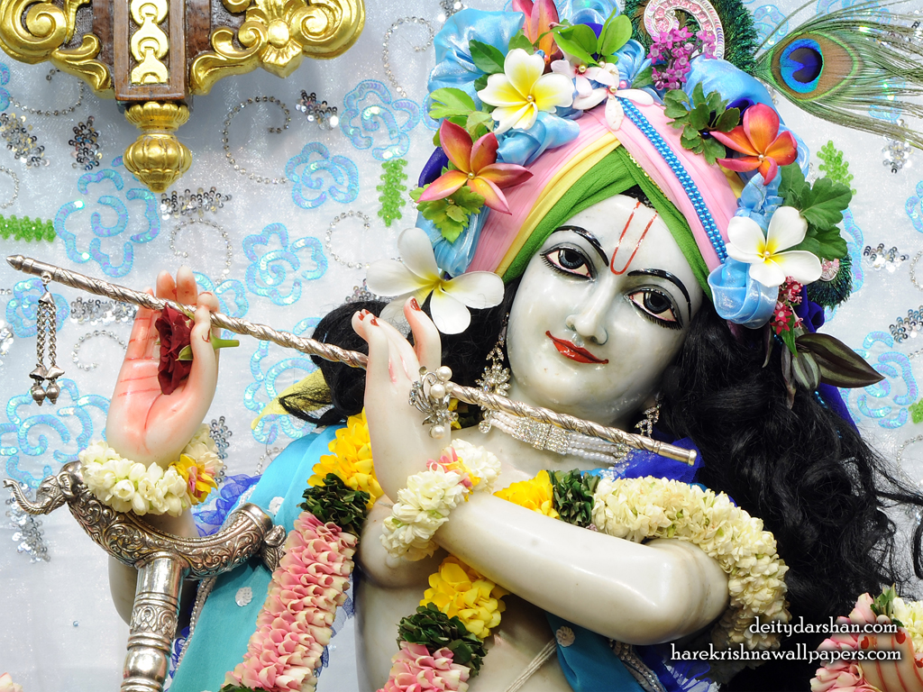 Sri Gopinath Close up Wallpaper (157) Size 1024x768 Download